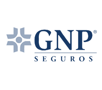 GNP